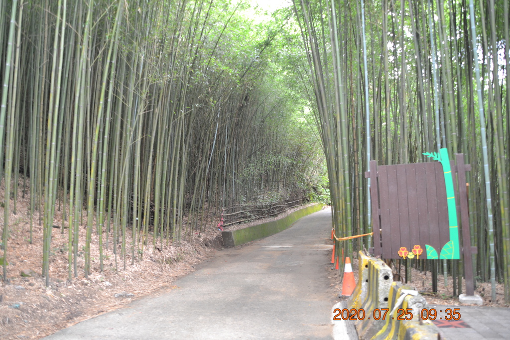 DSC_0113.JPG DSC_0113.JPG