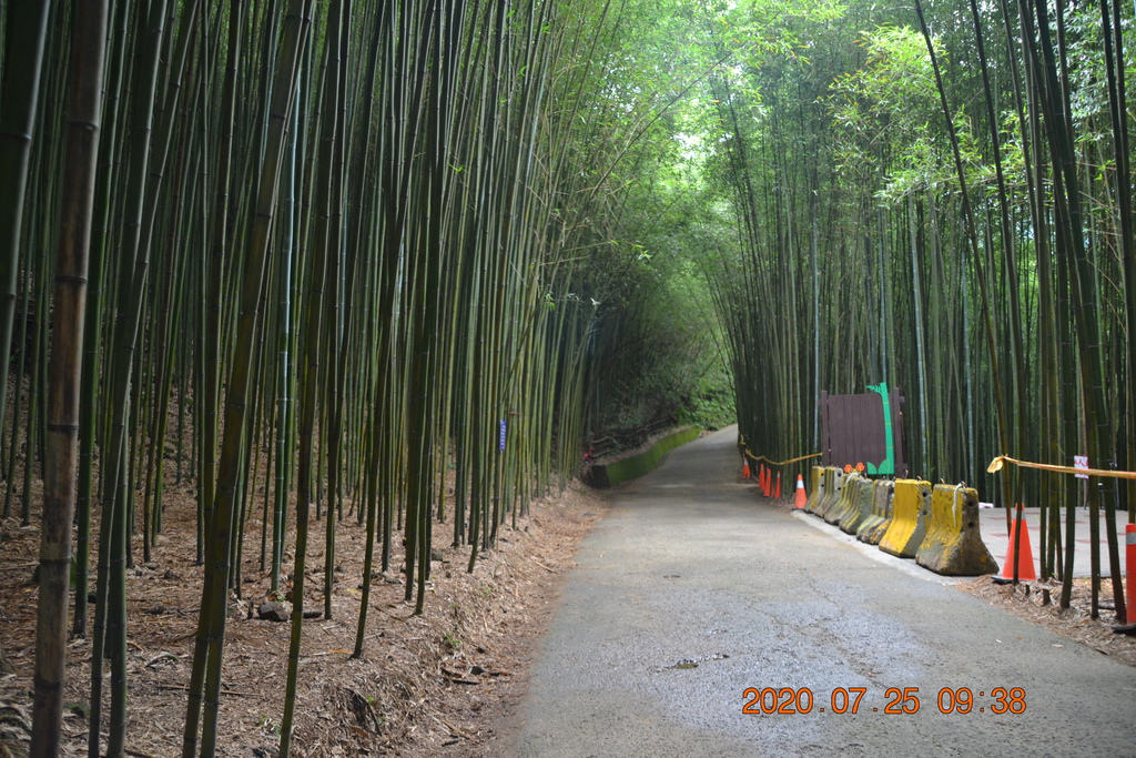 DSC_0116.JPG DSC_0116.JPG