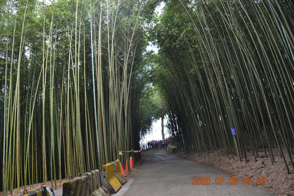 DSC_0118.JPG DSC_0118.JPG