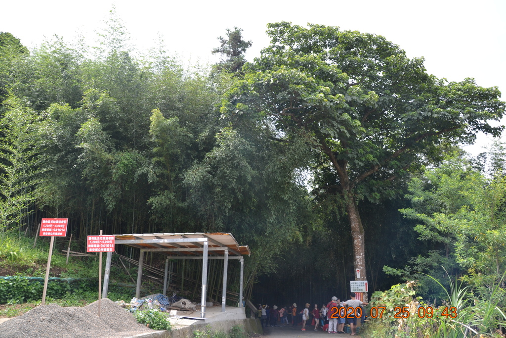 DSC_0119.JPG DSC_0119.JPG