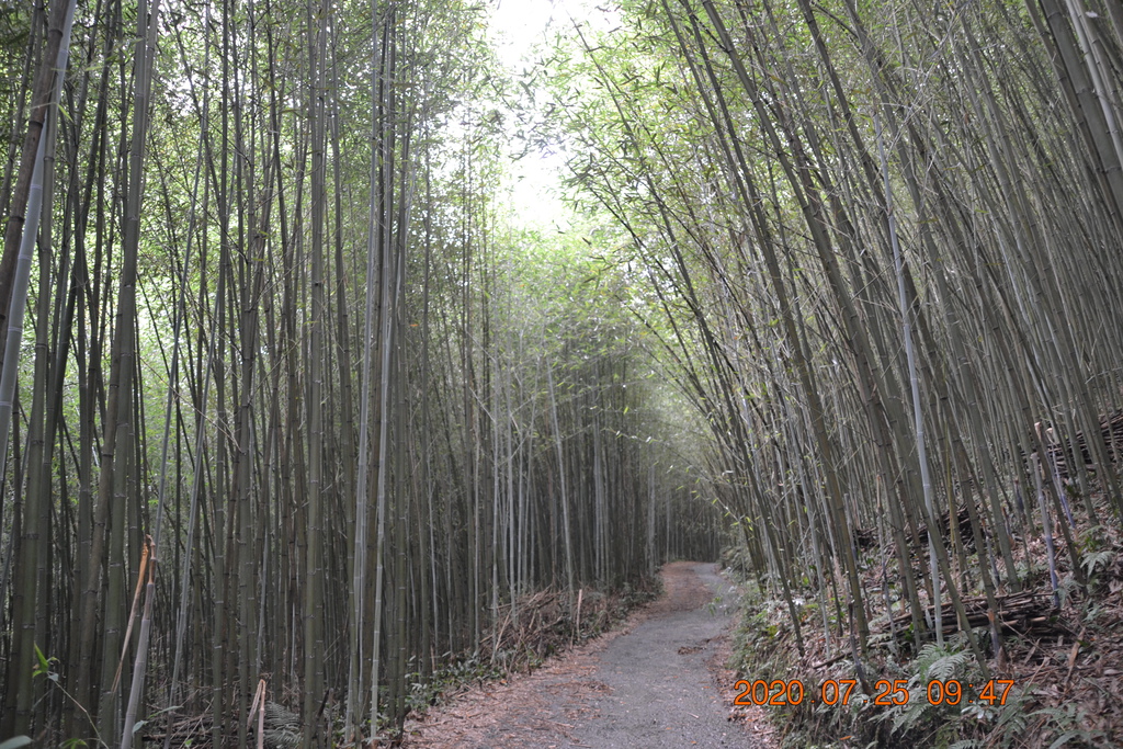 DSC_0122.JPG DSC_0122.JPG