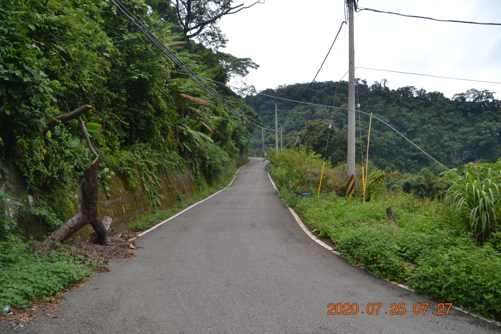 DSC_0027.JPG DSC_0027.JPG
