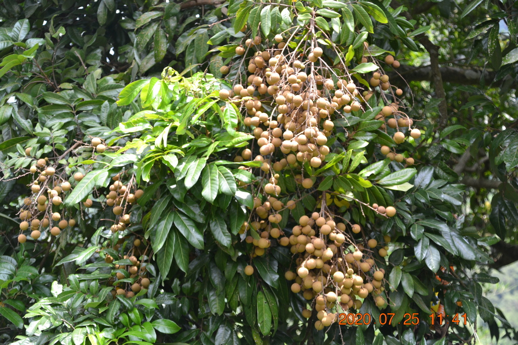 DSC_0147.JPG DSC_0147.JPG