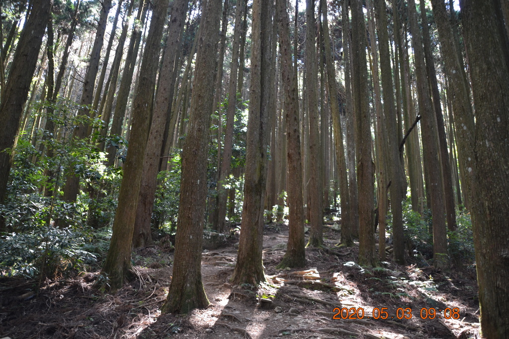 DSC_0006.JPG DSC_0006.JPG