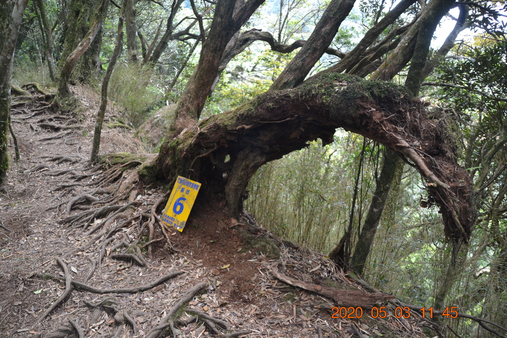 DSC_0068.JPG DSC_0068.JPG