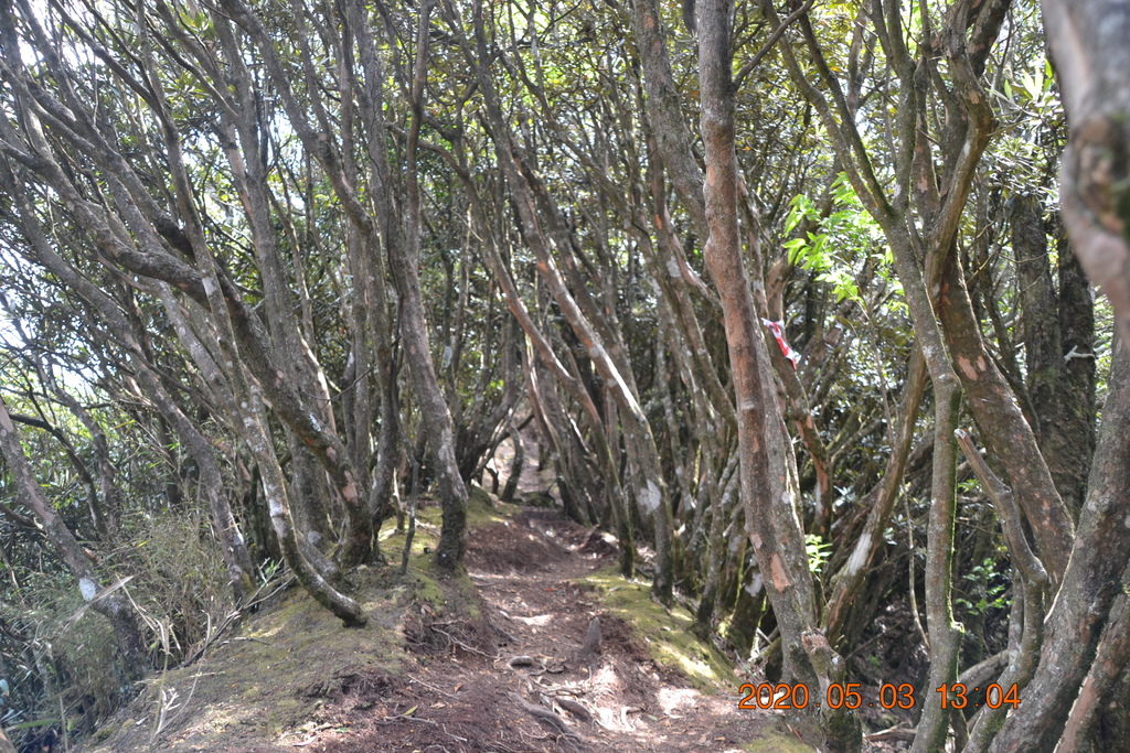 DSC_0085.JPG DSC_0085.JPG