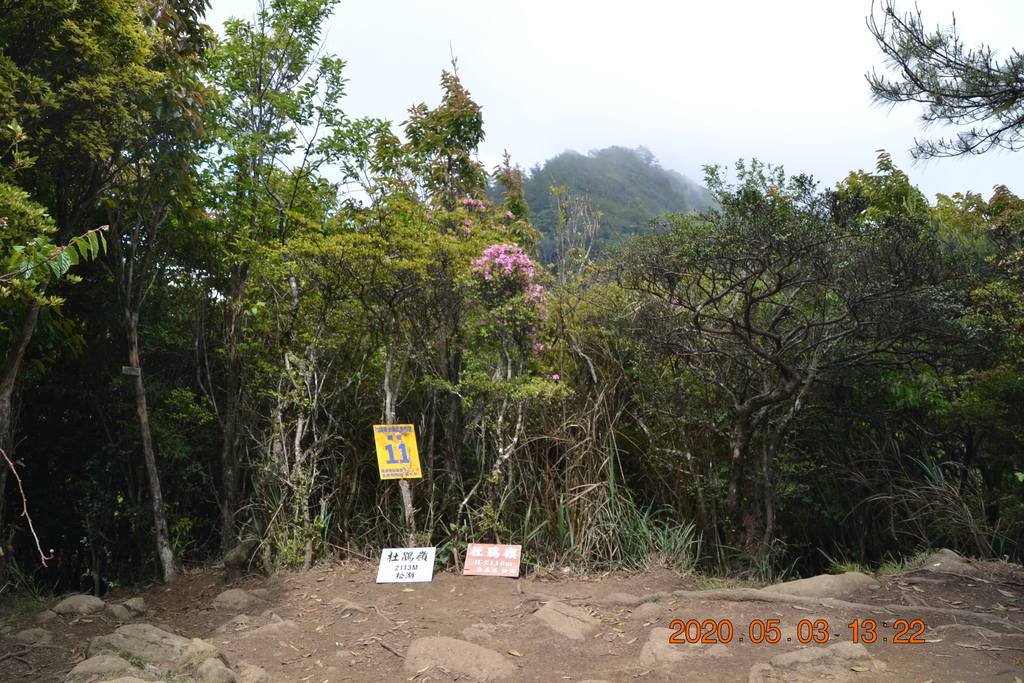 DSC_0097.JPG DSC_0097.JPG