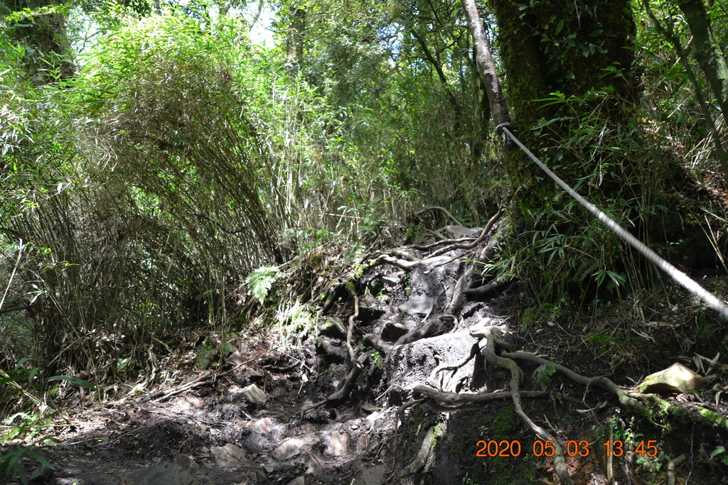 DSC_0115.JPG DSC_0115.JPG