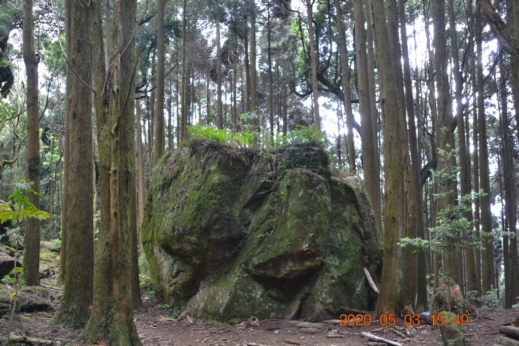 DSC_0166.JPG DSC_0166.JPG