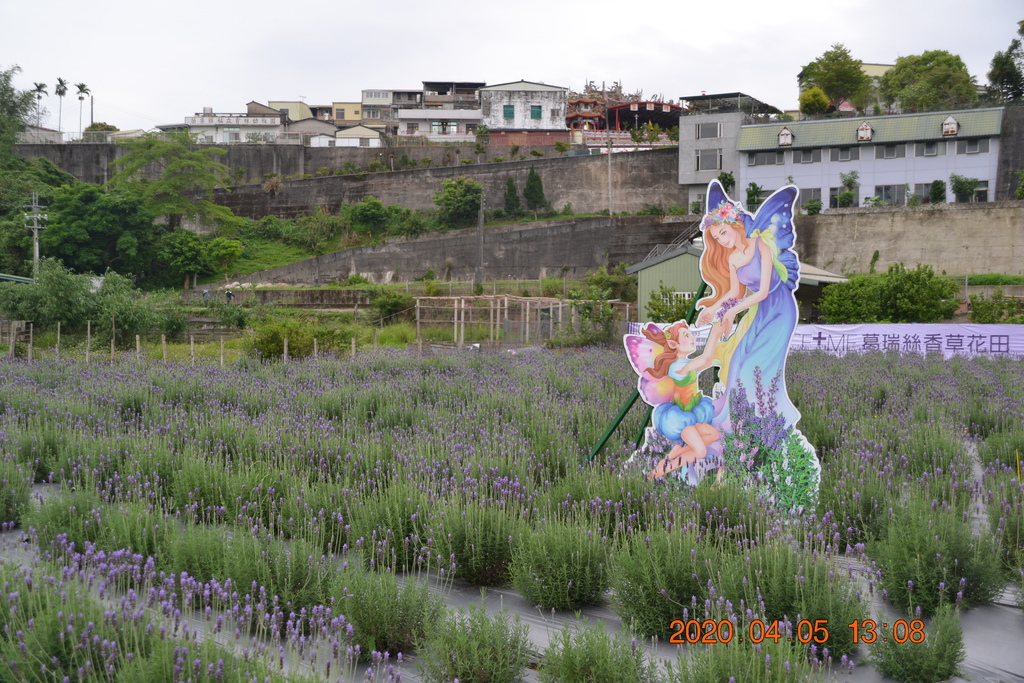 DSC_0066.JPG DSC_0066.JPG