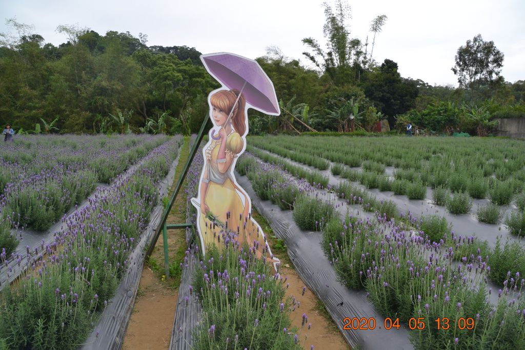 DSC_0069.JPG DSC_0069.JPG
