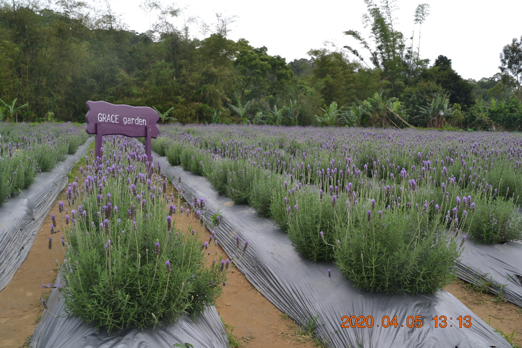 DSC_0078.JPG DSC_0078.JPG