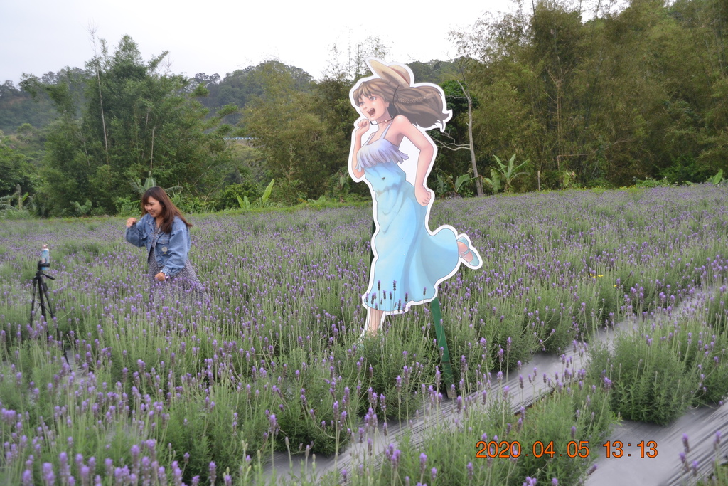 DSC_0079.JPG DSC_0079.JPG