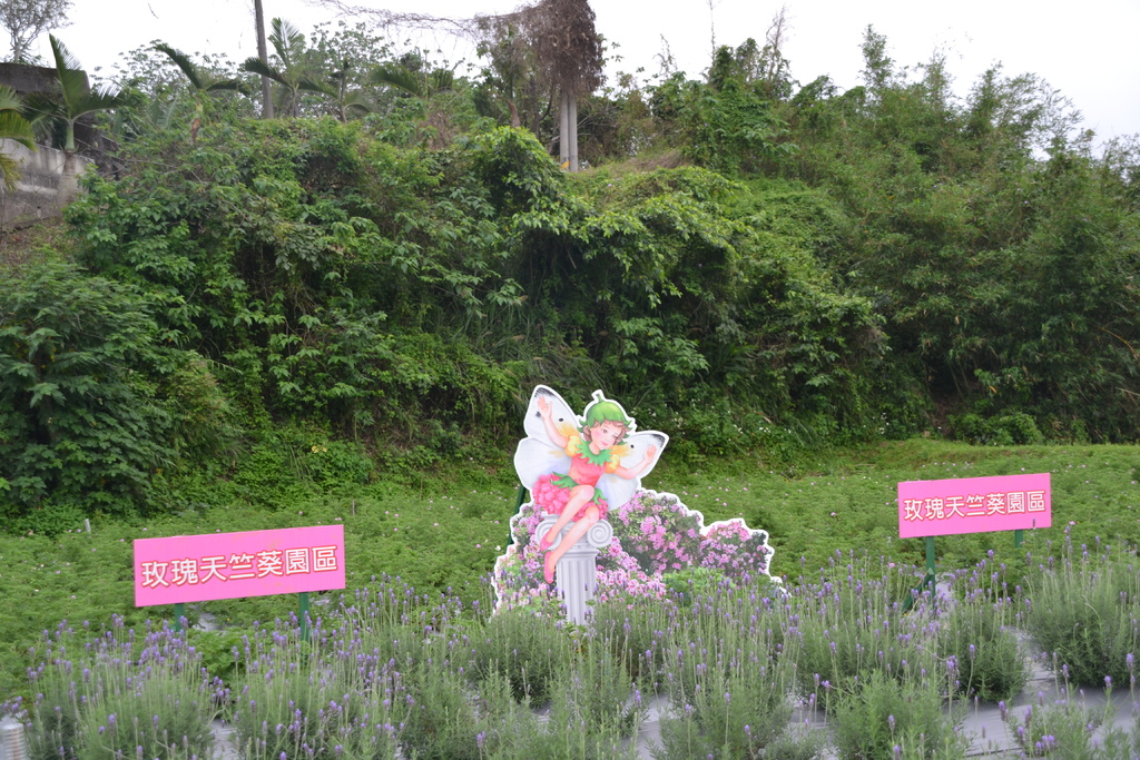 DSC_0071.JPG DSC_0071.JPG