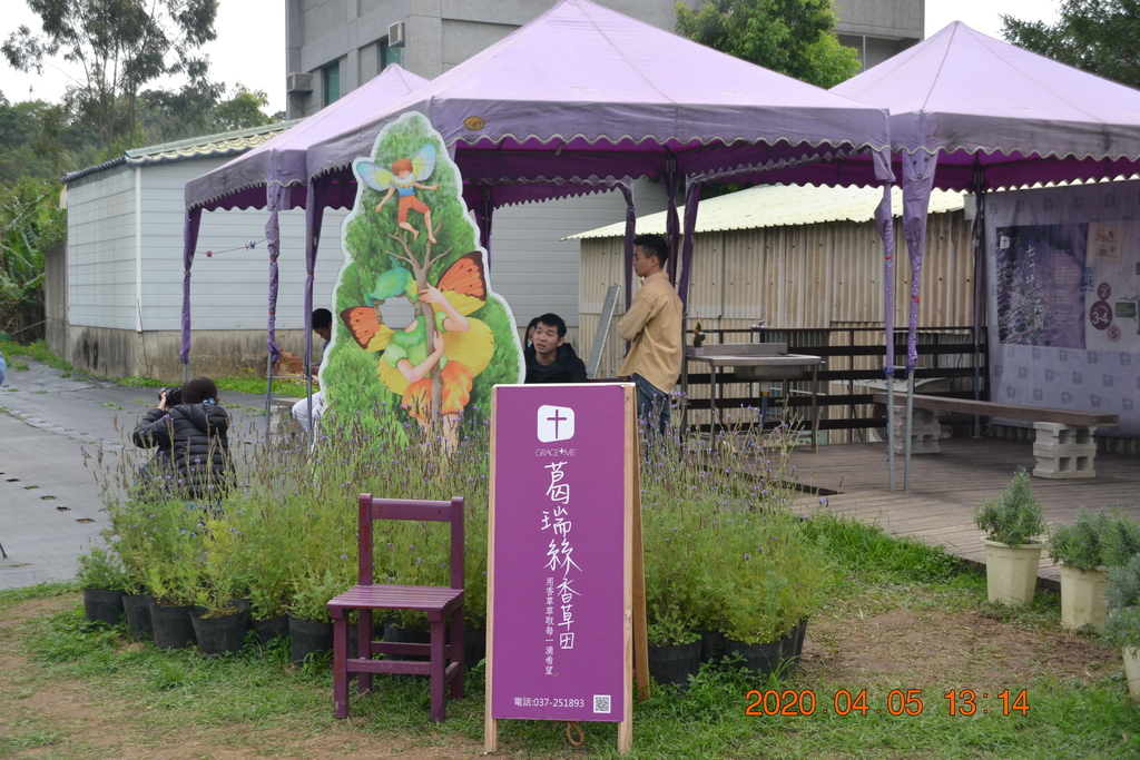 DSC_0082.JPG DSC_0082.JPG