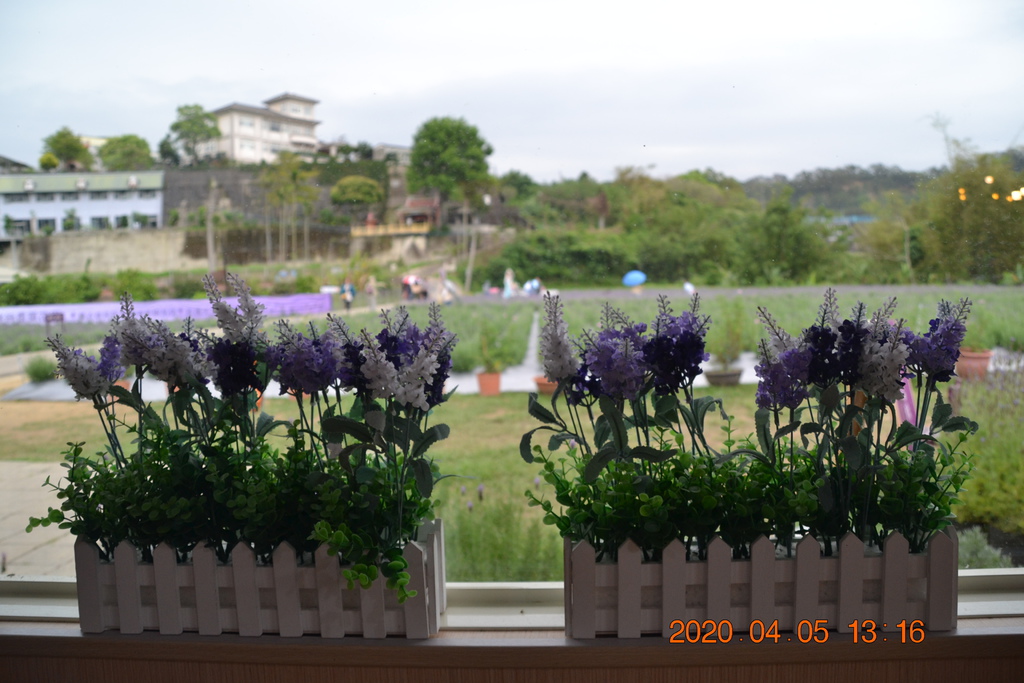 DSC_0089.JPG DSC_0089.JPG