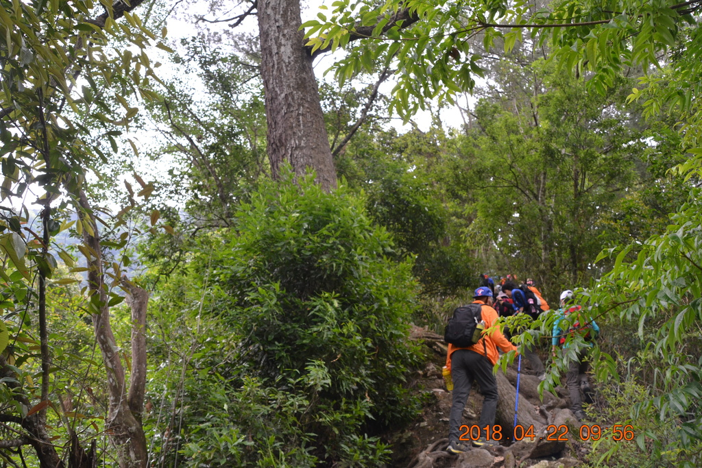 DSC_0105.JPG DSC_0105.JPG