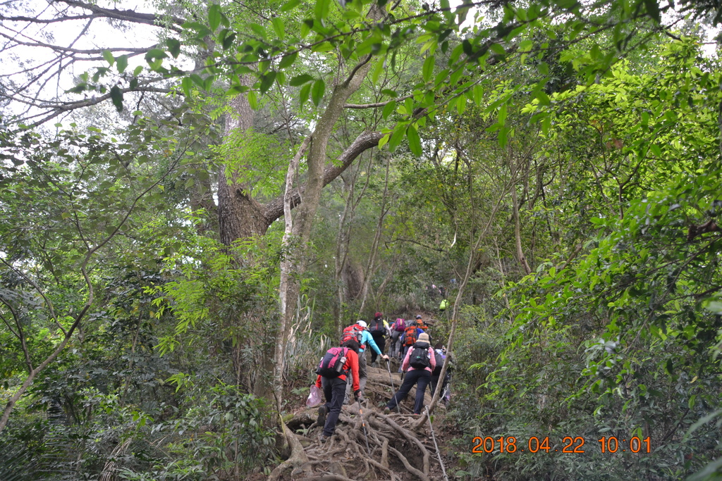 DSC_0109.JPG DSC_0109.JPG