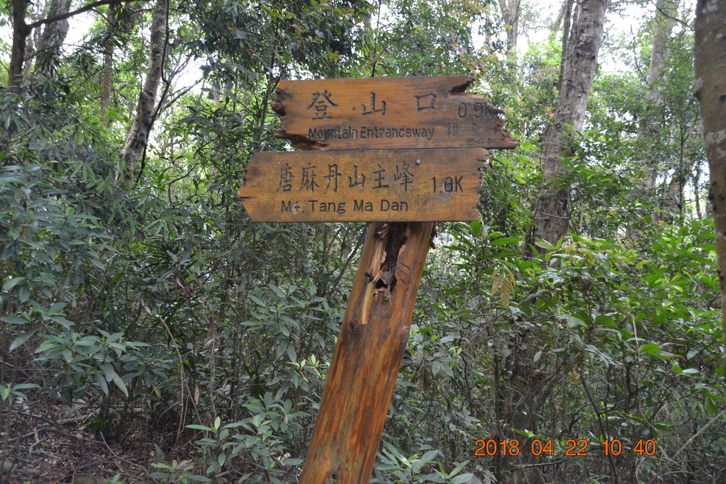 DSC_0119.JPG DSC_0119.JPG