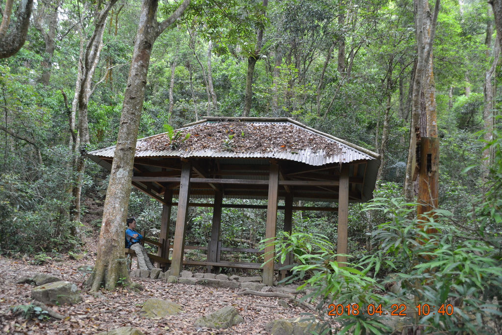 DSC_0118.JPG DSC_0118.JPG