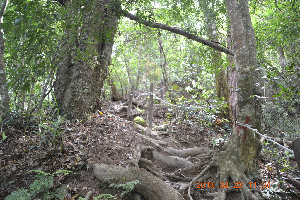 DSC_0129.JPG DSC_0129.JPG