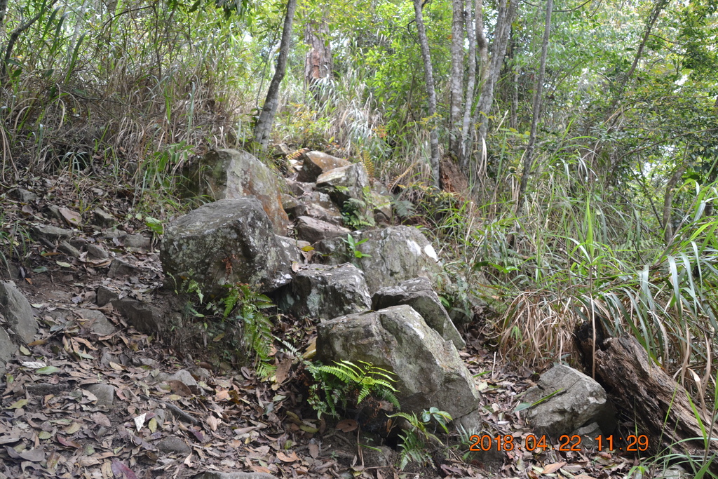 DSC_0136.JPG DSC_0136.JPG