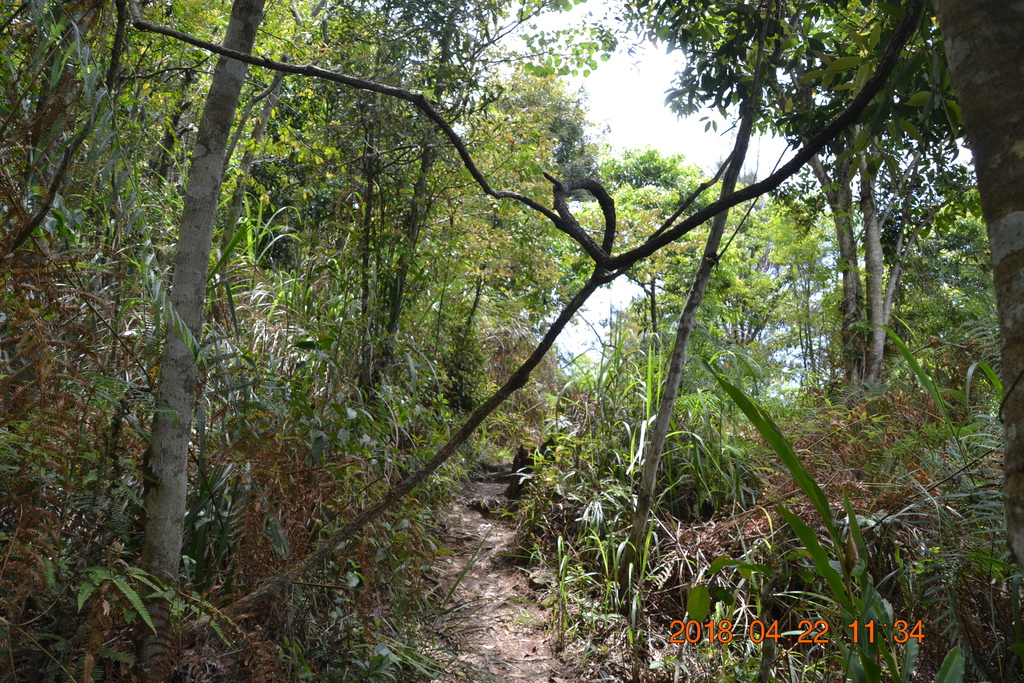 DSC_0140.JPG DSC_0140.JPG