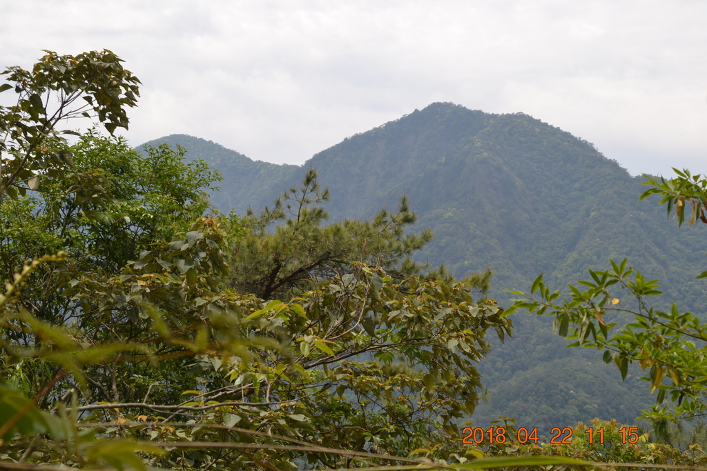 DSC_0130.JPG DSC_0130.JPG