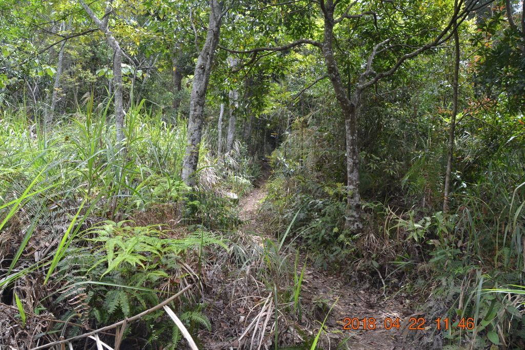 DSC_0146.JPG DSC_0146.JPG