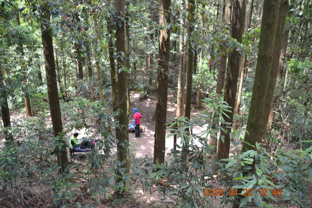 DSC_0178.JPG DSC_0178.JPG