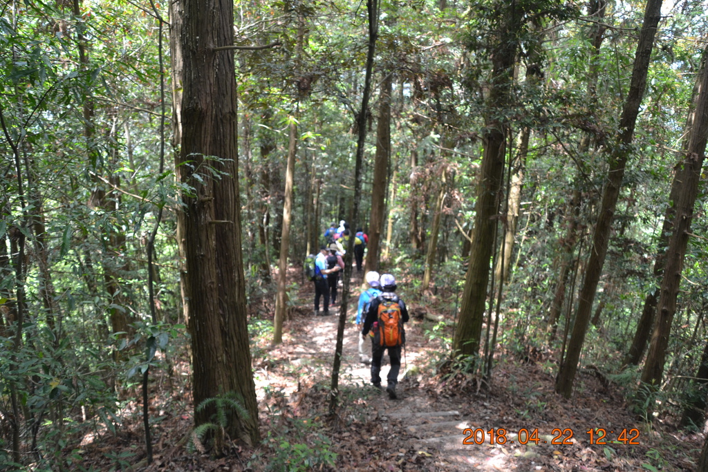 DSC_0174.JPG DSC_0174.JPG