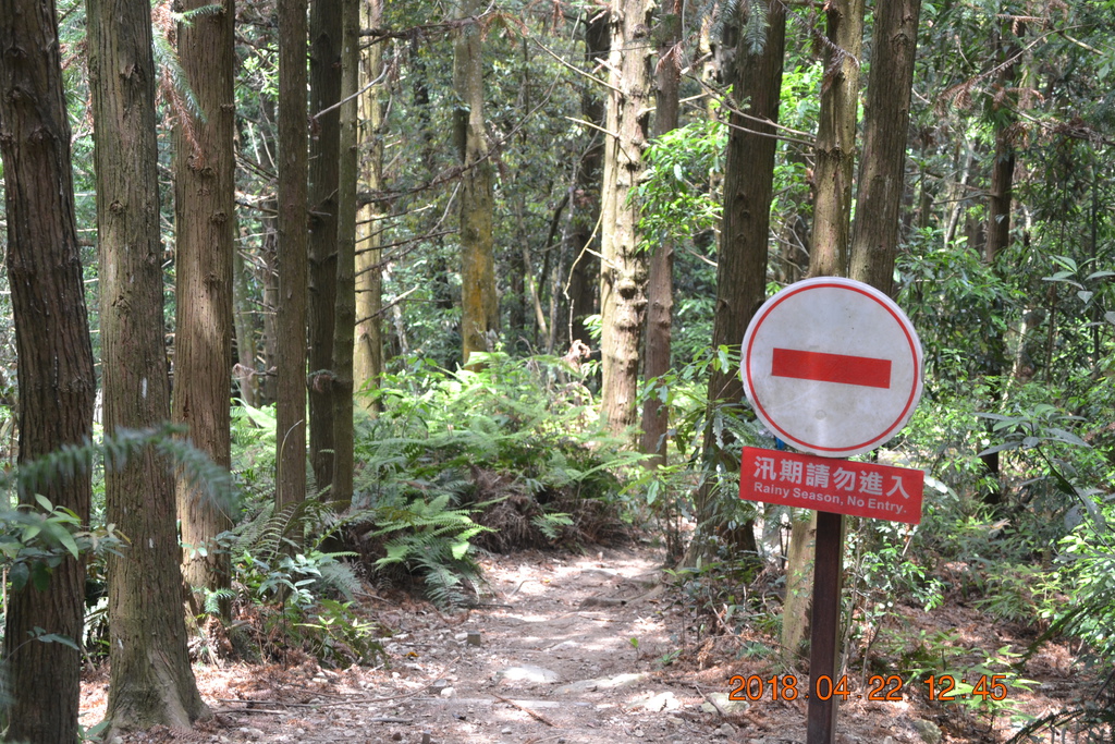 DSC_0177.JPG DSC_0177.JPG