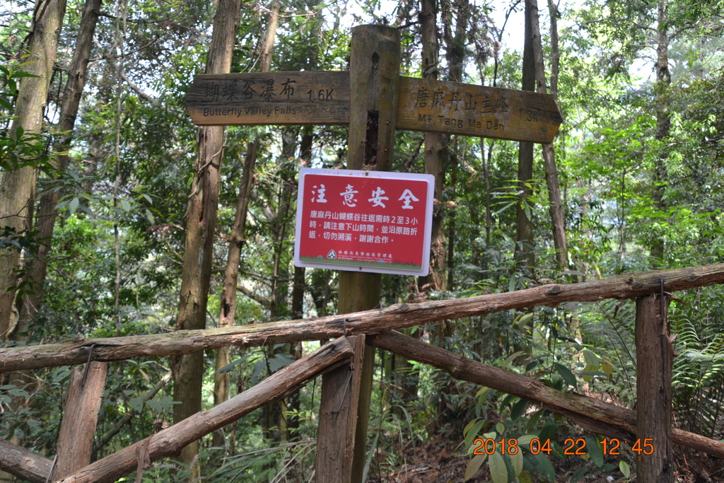 DSC_0175.JPG DSC_0175.JPG