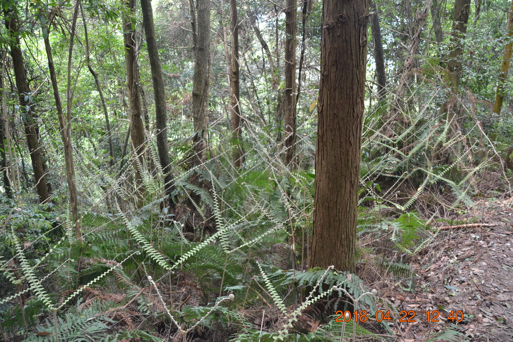 DSC_0173.JPG DSC_0173.JPG