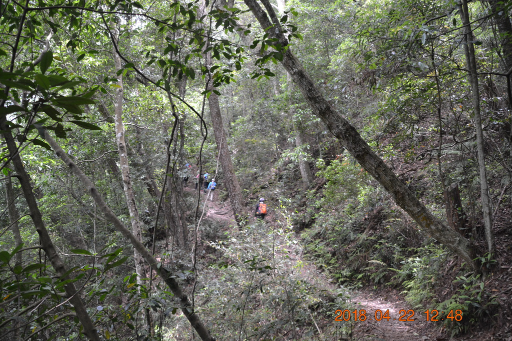 DSC_0180.JPG DSC_0180.JPG