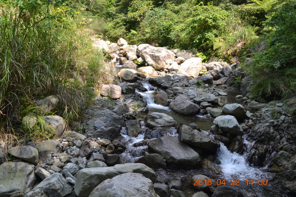 DSC_0201.JPG DSC_0201.JPG