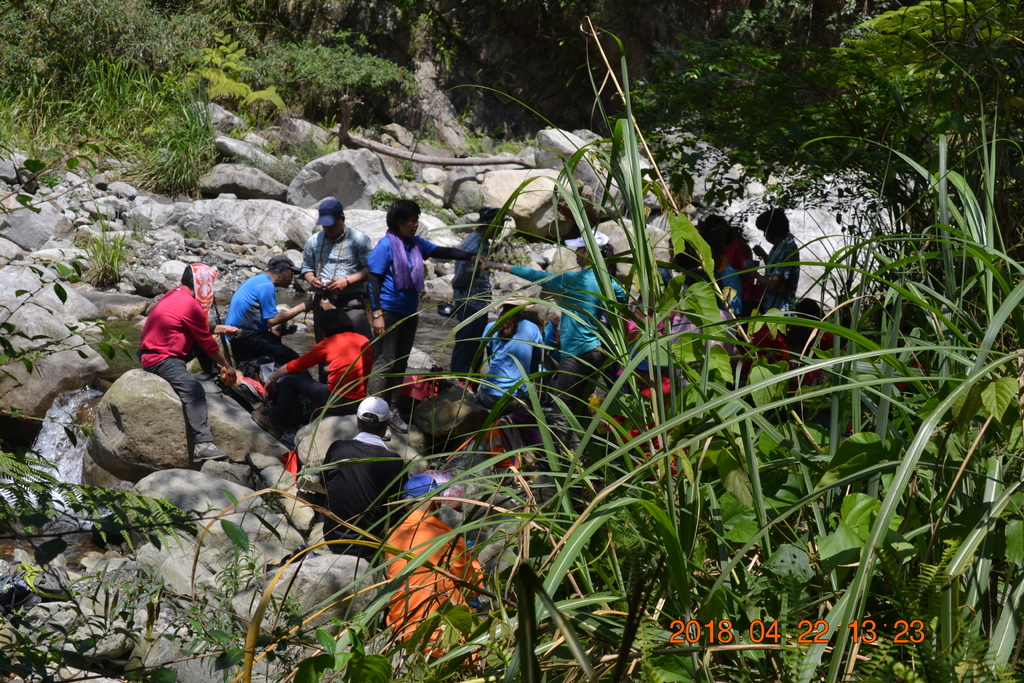 DSC_0194.JPG DSC_0194.JPG