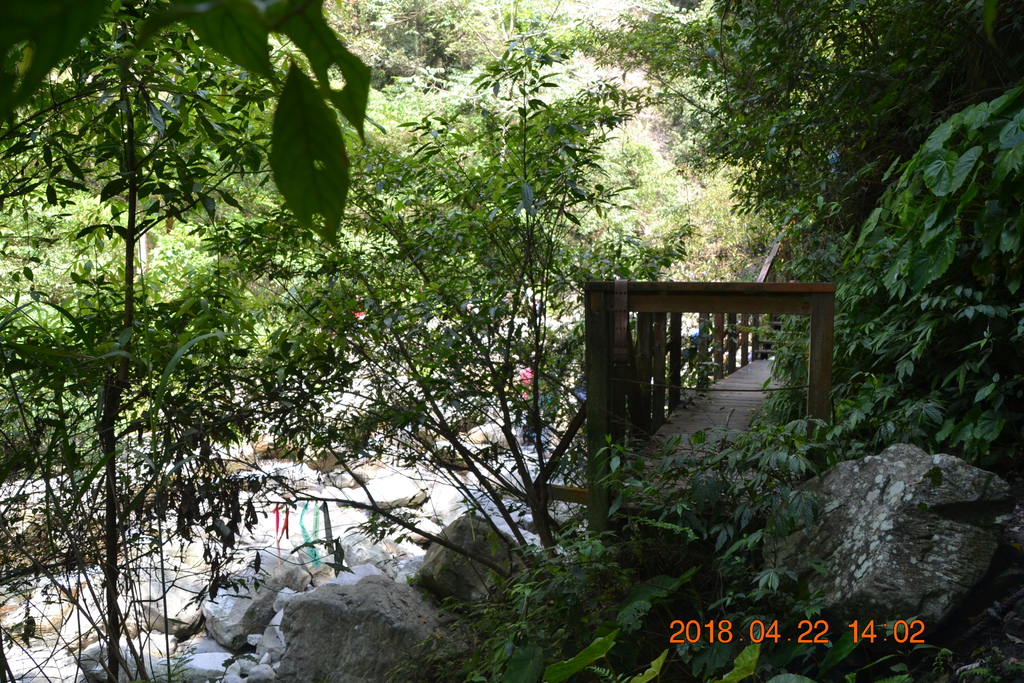 DSC_0207.JPG DSC_0207.JPG