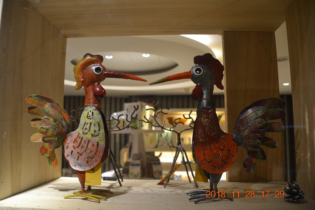 DSC_0061.JPG DSC_0061.JPG