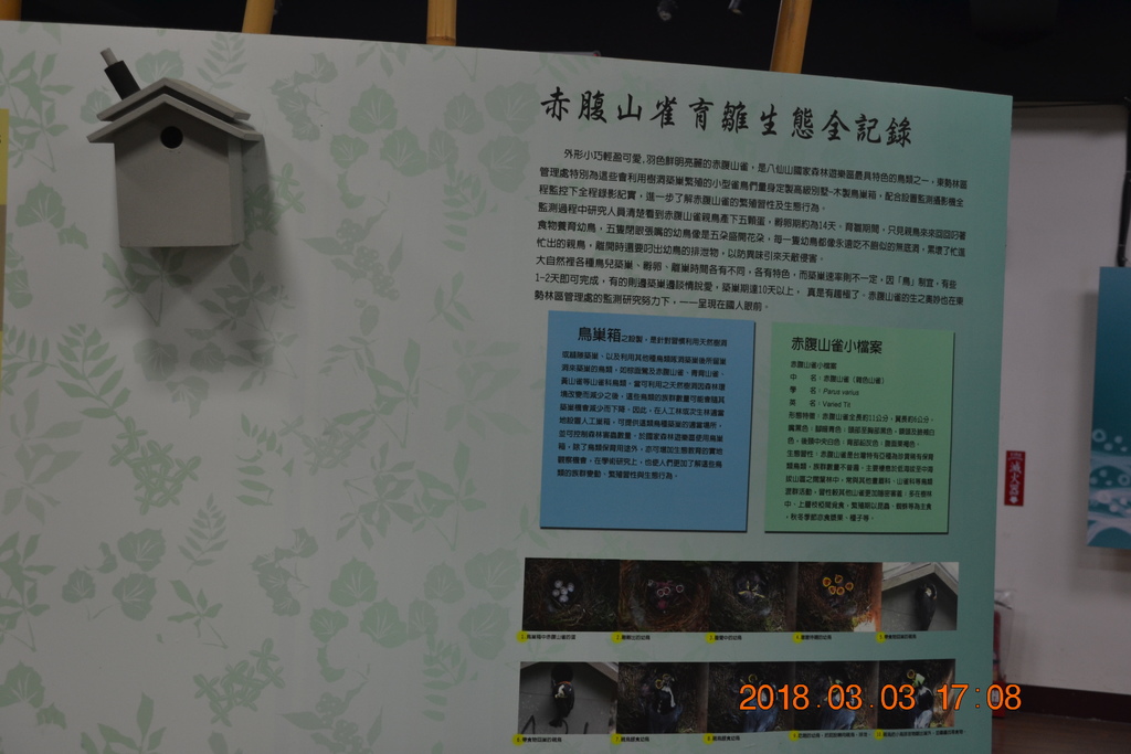DSC_0184.JPG DSC_0184.JPG