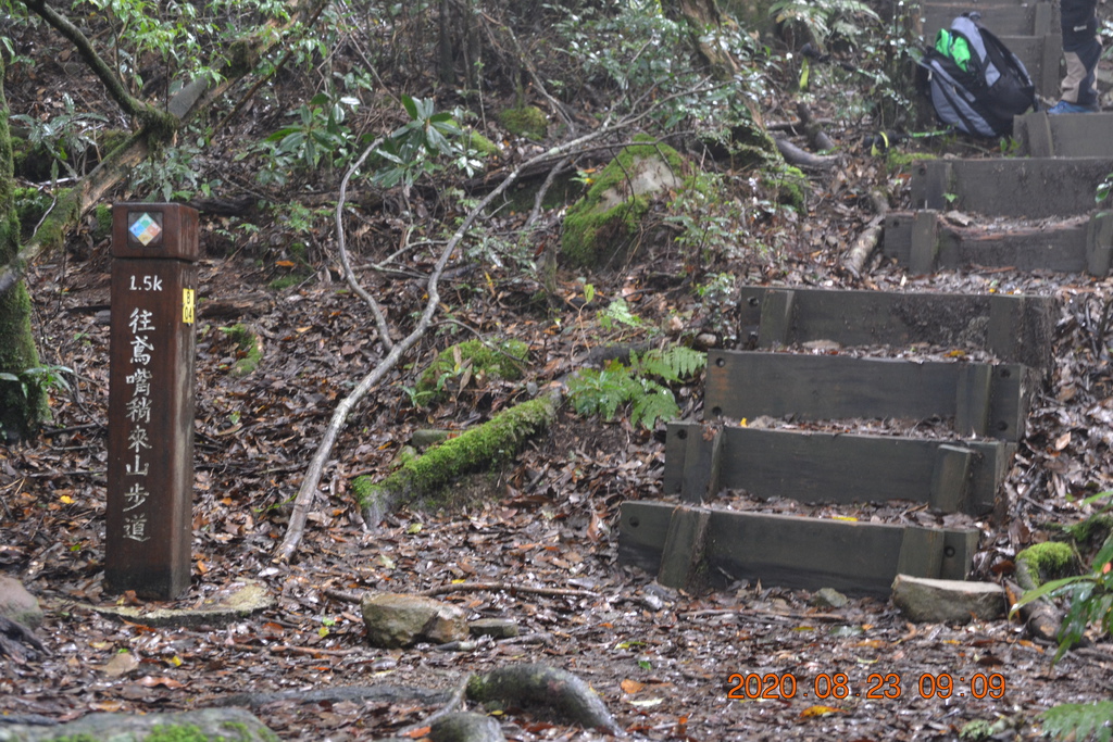 DSC_0019.JPG DSC_0019.JPG
