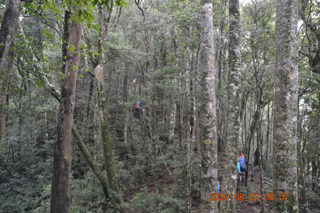 DSC_0016.JPG DSC_0016.JPG