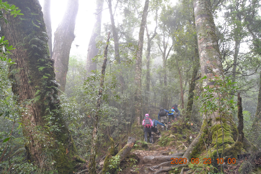 DSC_0034.JPG DSC_0034.JPG