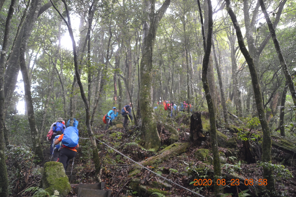 DSC_0017.JPG DSC_0017.JPG