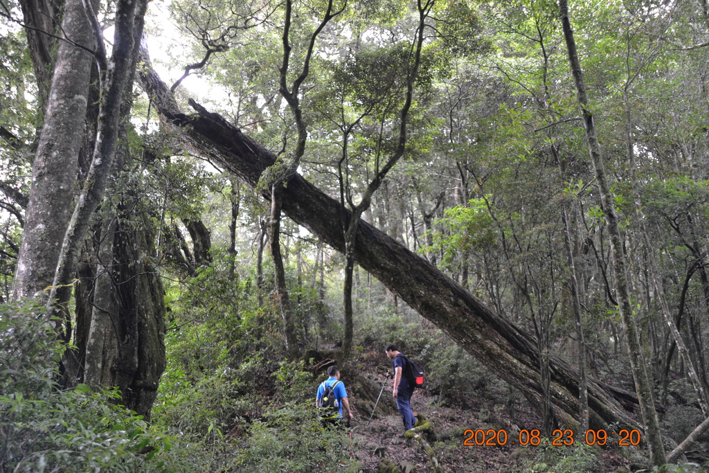 DSC_0029.JPG DSC_0029.JPG