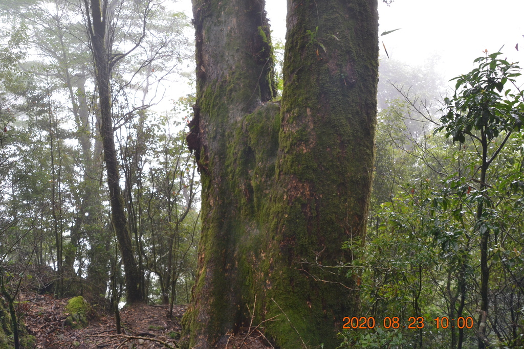 DSC_0033.JPG DSC_0033.JPG