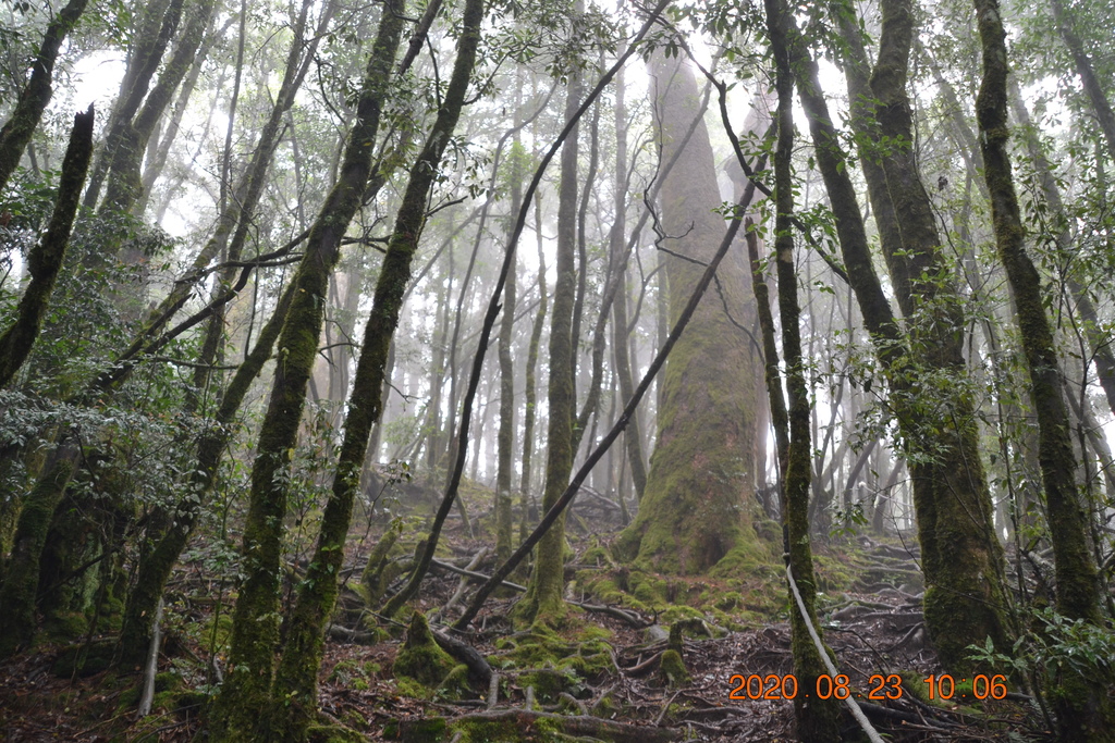 DSC_0035.JPG DSC_0035.JPG