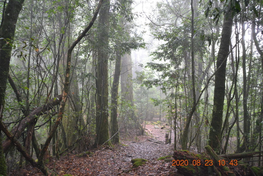DSC_0048.JPG DSC_0048.JPG