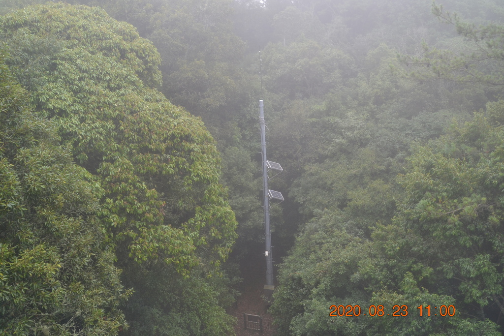 DSC_0079.JPG DSC_0079.JPG