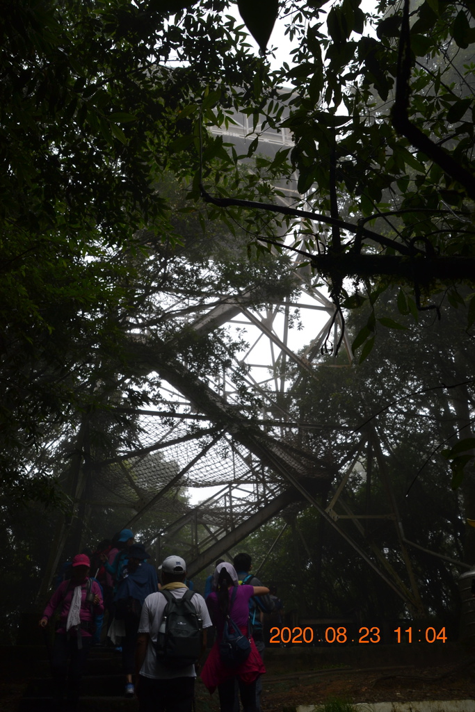 DSC_0082.JPG DSC_0082.JPG